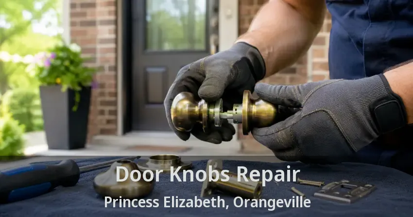 Door Knobs Repair Princess Elizabeth, Orangeville - ON