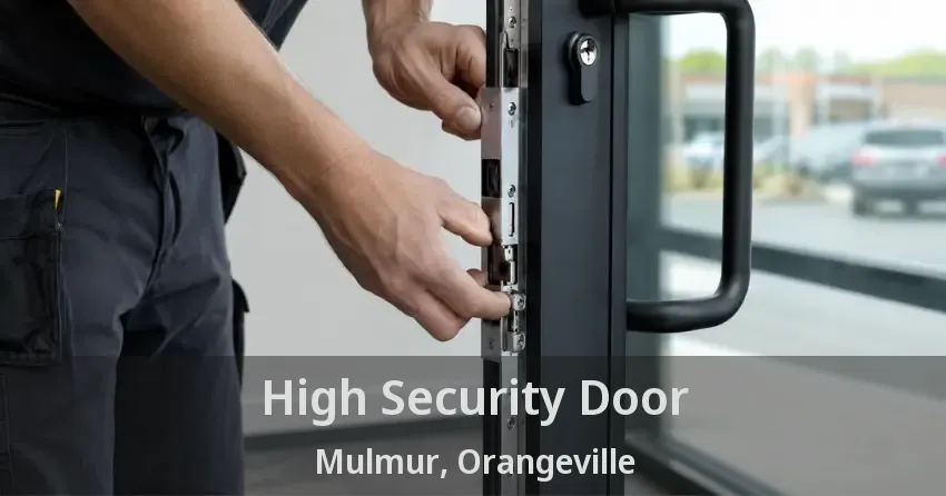 High Security Door Mulmur, Orangeville - ON