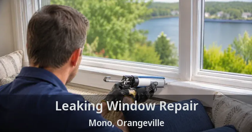 Leaking Window Repair Mono, Orangeville - ON
