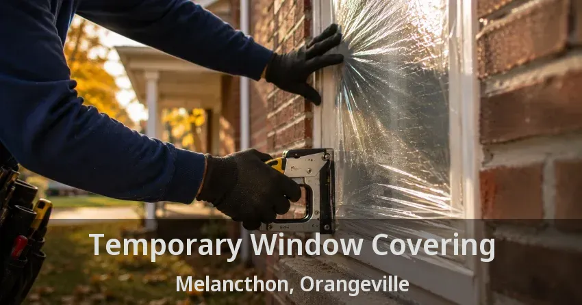Temporary Window Covering Melancthon, Orangeville - ON