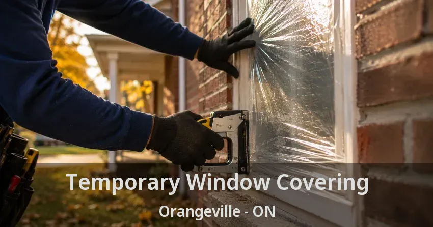 Temporary Window Covering Orangeville - ON