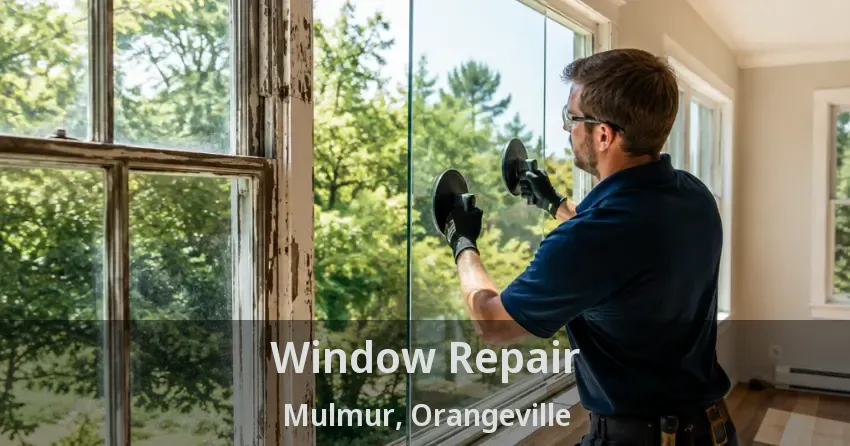 Window Repair Mulmur, Orangeville - ON