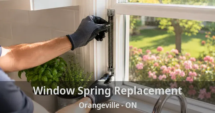 Window Spring Replacement Orangeville - ON